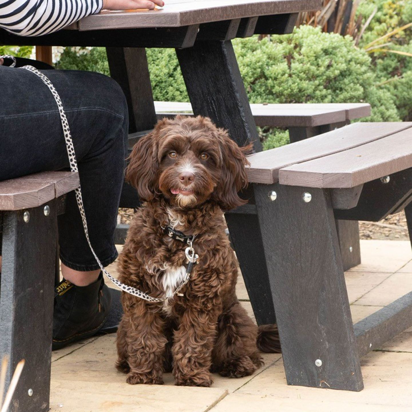 Your local dog friendly pub in Hayfield